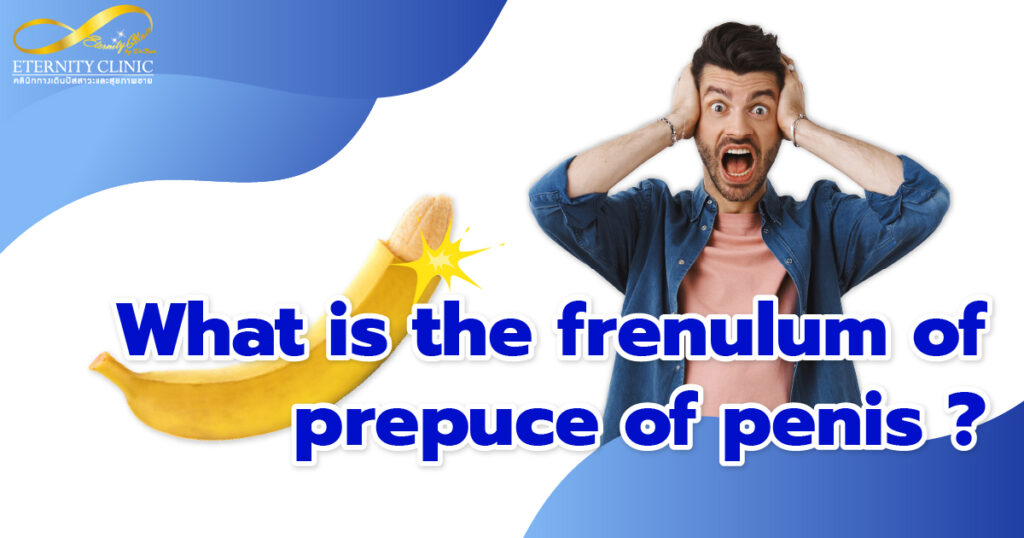 What is frenulum - ETERNITY CLINIC by M.D. SUEBPONG ENGCHUAN What is penile frenulum ?