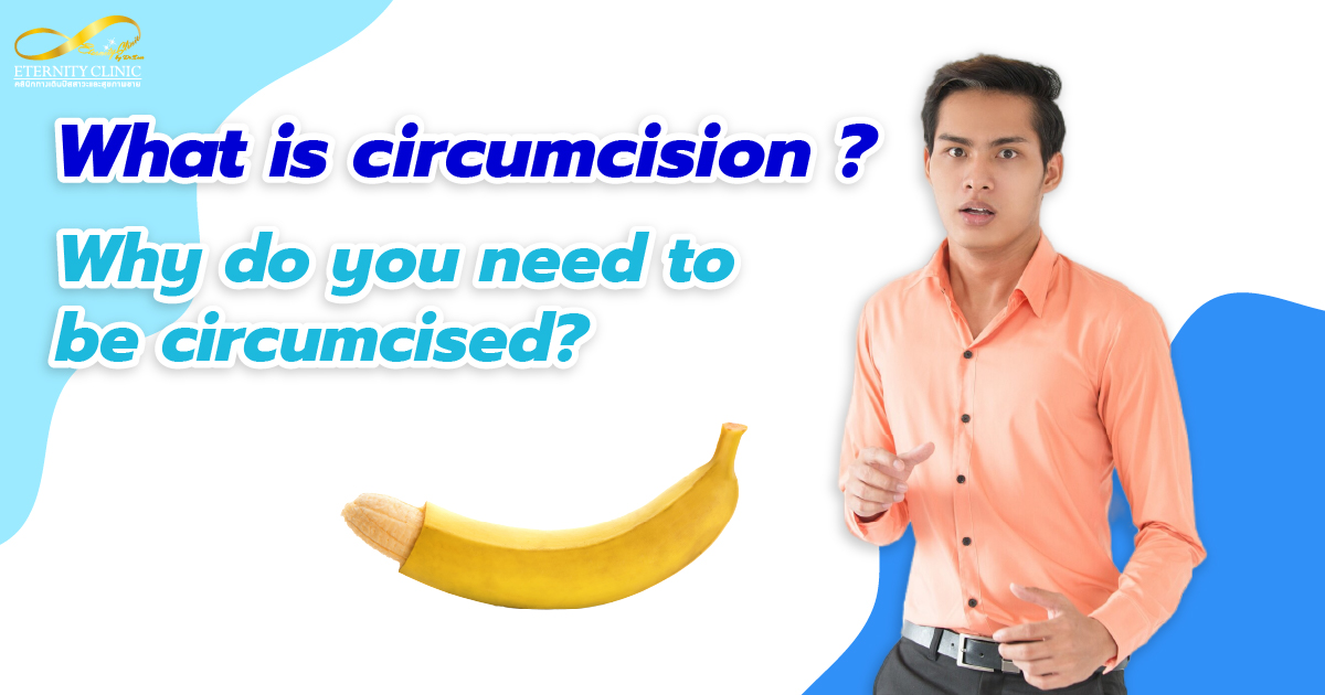 Adult circumcision explanation and foreskin anatomy