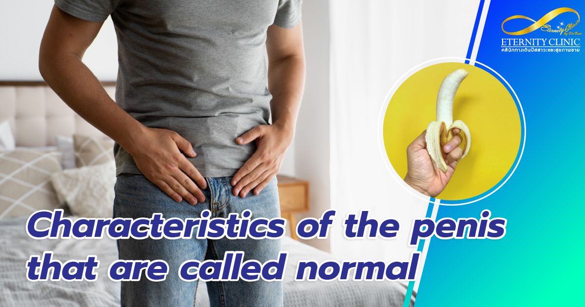 Characteristics of the penis that are called normal - ETERNITY CLINIC by M.D. SUEBPONG ENGCHUAN Characteristics of the penis that are called normal