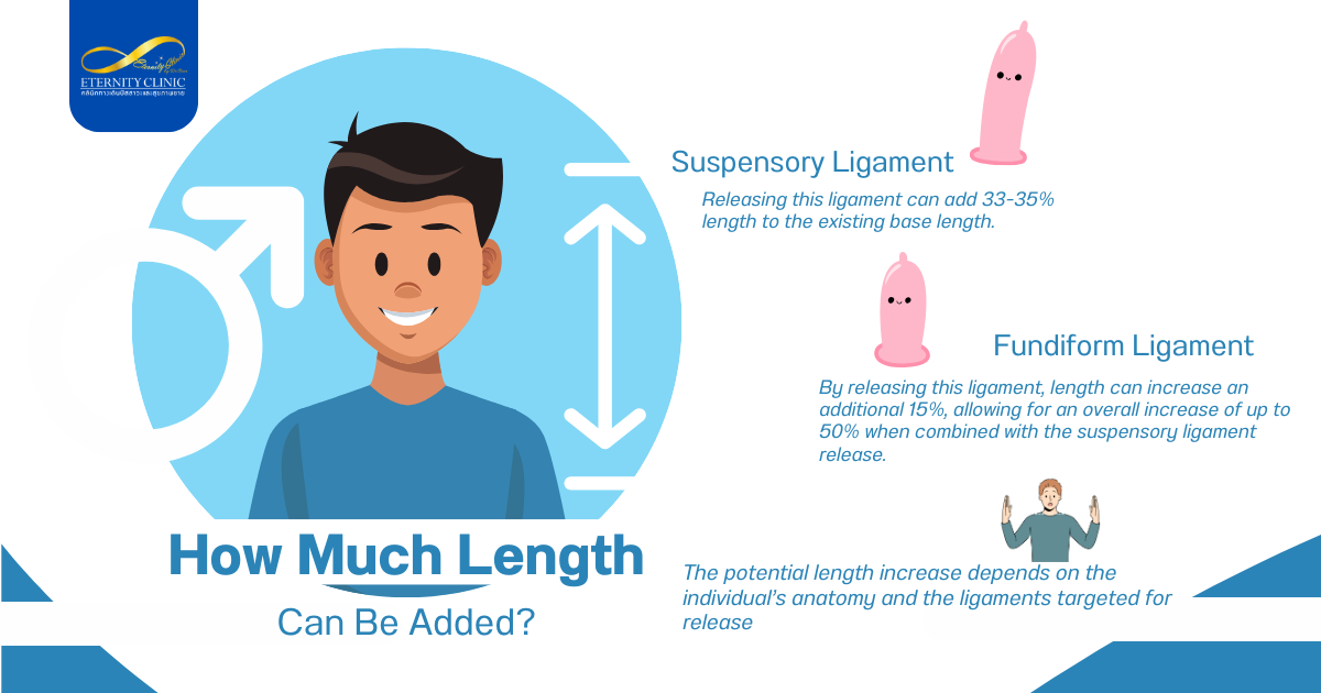 Can Dr. Beer Lengthen 3 - ETERNITY CLINIC by M.D. SUEBPONG ENGCHUAN How Much Length Can Be Added?