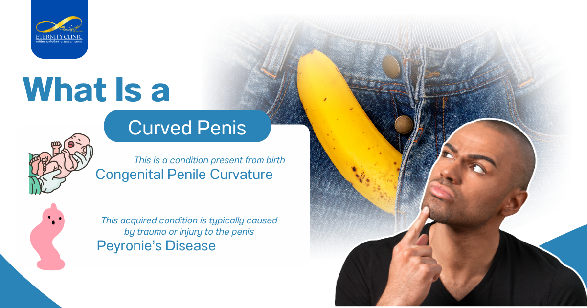 What Is a Curved Penis?