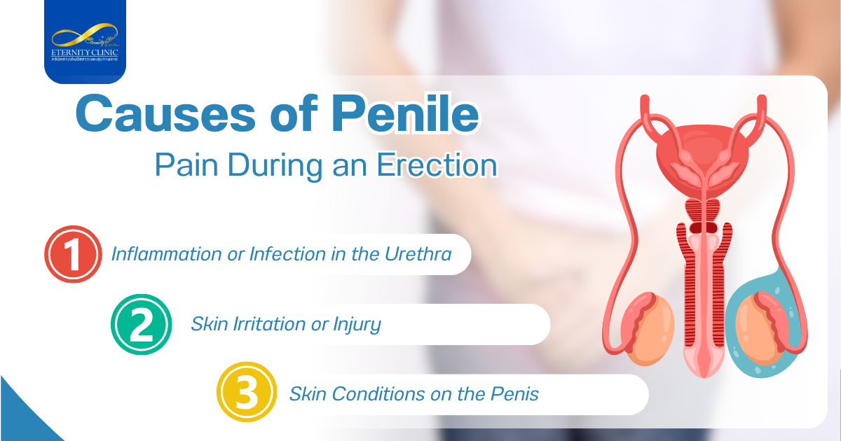 Causes Pain3 - ETERNITY CLINIC by M.D. SUEBPONG ENGCHUAN Penile Pain During
