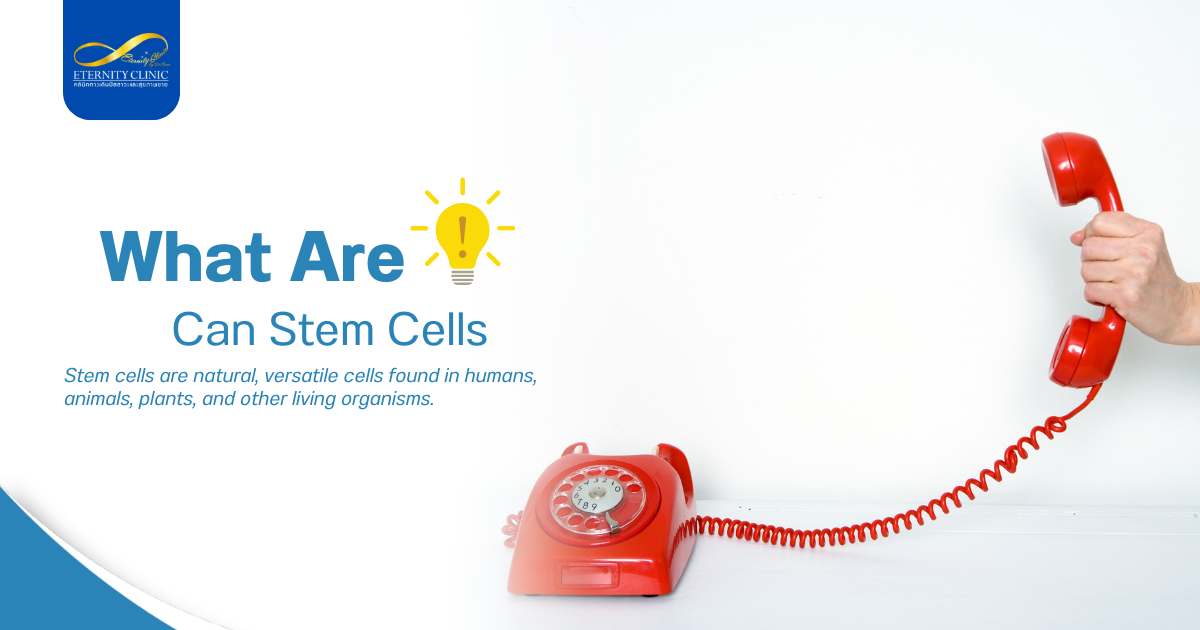 Stem Cells2 - ETERNITY CLINIC by M.D. SUEBPONG ENGCHUAN What Are Stem Cells?