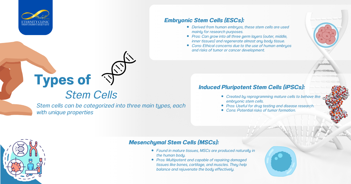 Stem Cells3 - ETERNITY CLINIC by M.D. SUEBPONG ENGCHUAN Types of Stem Cells