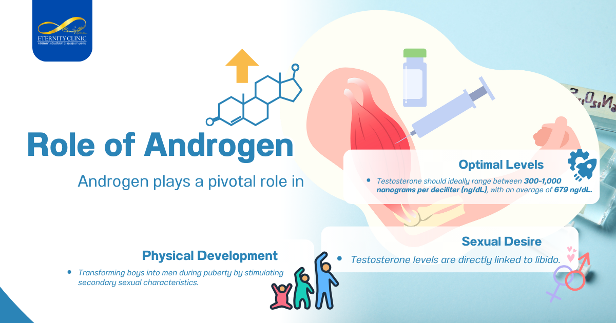 Androgen4 - ETERNITY CLINIC by M.D. SUEBPONG ENGCHUAN Role of Androgen