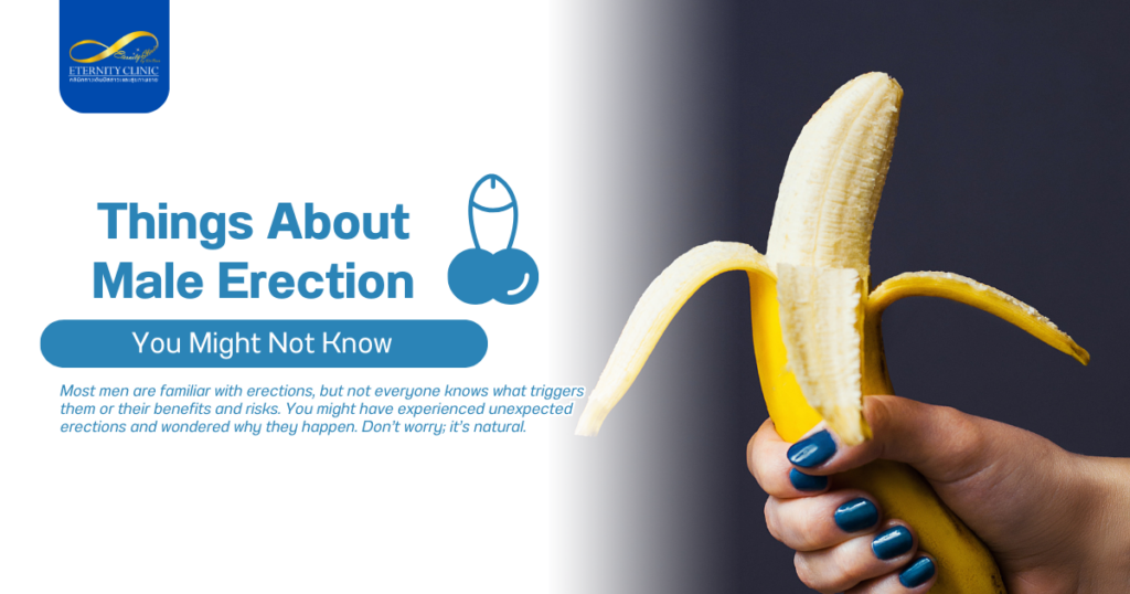 Male Erection1 - ETERNITY CLINIC by M.D. SUEBPONG ENGCHUAN Erection