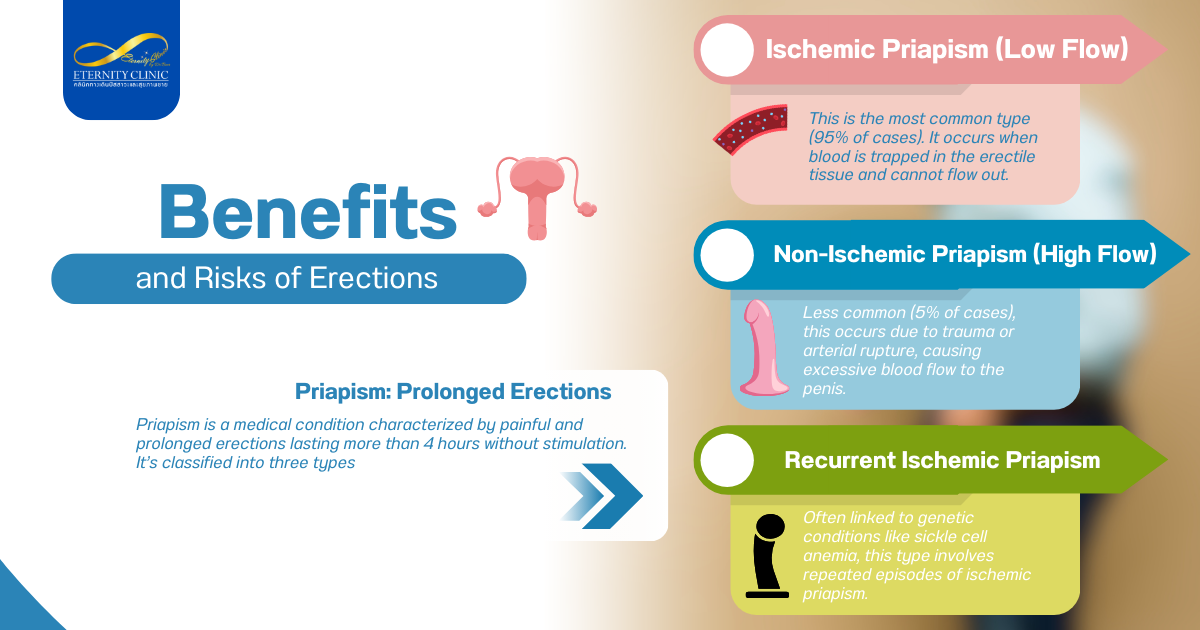 Male Erection3 - ETERNITY CLINIC by M.D. SUEBPONG ENGCHUAN Benefits and Risks of Erections