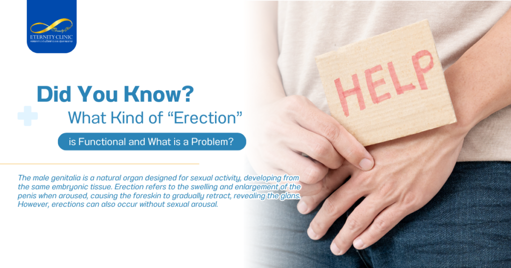 การแข็งตัว - ETERNITY CLINIC by M.D. SUEBPONG ENGCHUAN Erection